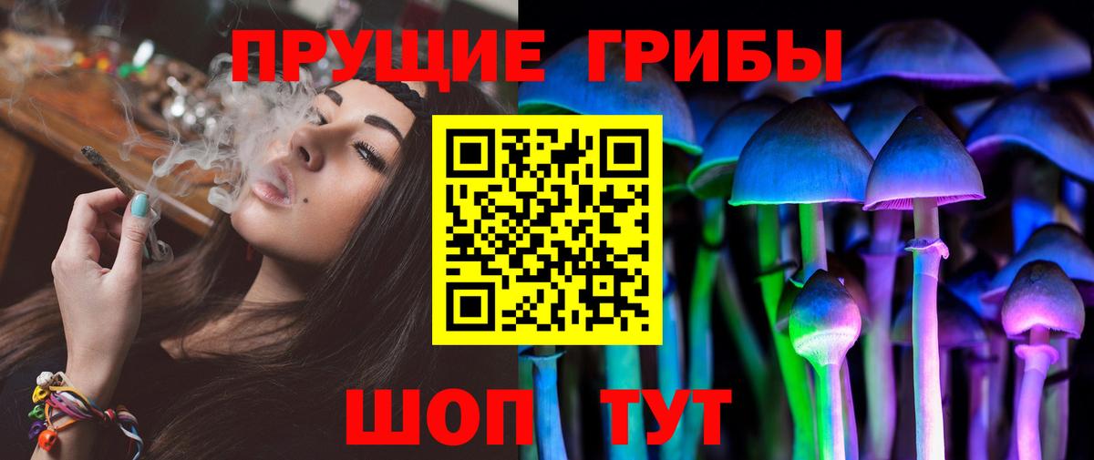 Псилоцибиновые грибы Psilocybe  Вход с VPN  Советск 